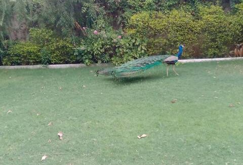 Panch Batti Resort | Private room ∙ 4 guests
