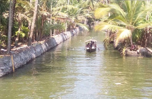 Alappuzha Resort | Private room ∙ 2 guests