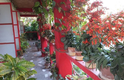 Malda Resort | Private room ∙ 3 guests
