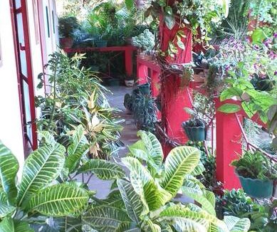 Malda Resort | Private room ∙ 2 guests