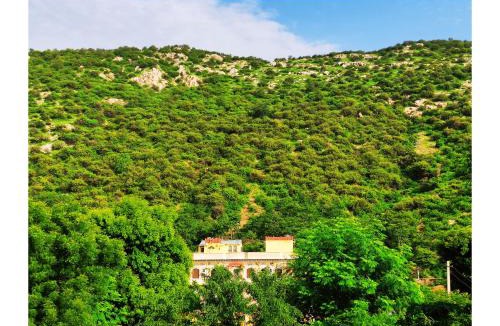 Samode Bed & Breakfast | Raj Haveli- A Heritage Samode