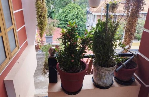 Neyyattinkara House | Remaneeyam B&B
