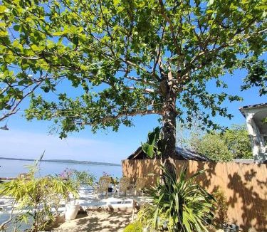 Calape Resort | Rene's Resort