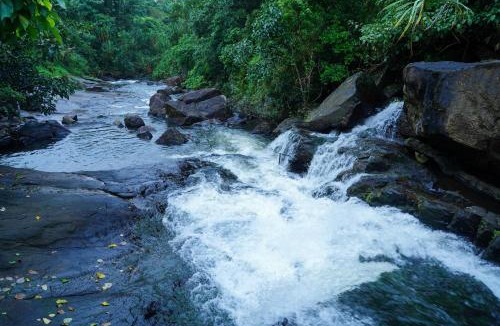 Elappara Hotel | River side