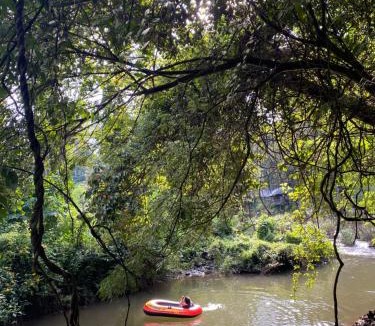 Kottappadi part House | River View Holiday villla