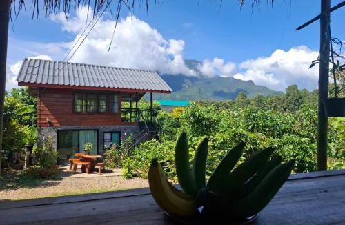 Chiang Dao Other | Samatha Camper