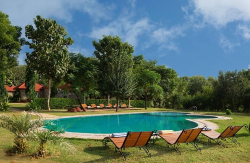 Thana Gazi Hotel | Sariska Tiger Heaven