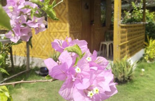 Pamilacan Island Bed & Breakfast | Shirley's Cottage - Pamilacan Island