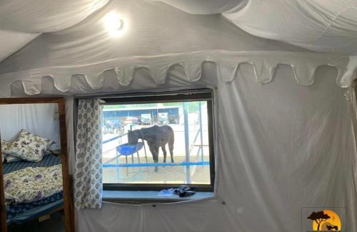 Samode Hotel | Shivohum Adventure Retreat
