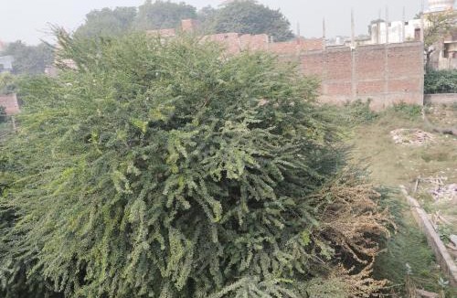 Ayodhya House | Shri ram lala guest house ayodhya