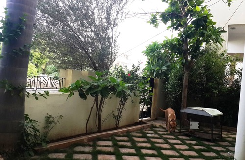Udaipur District Villa | SINGHI VILLA GUEST HOUSE