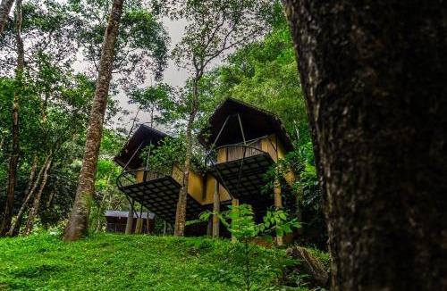 Elappara Resort | Song Of The Trees Nature Stay Kutitkanam by LexStays