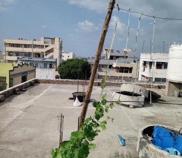 Vijayawada House | Sri Kanakadhara Vididhillu