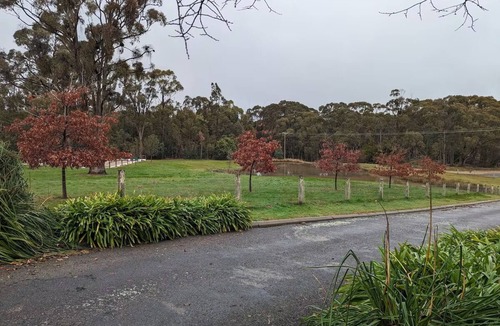 Beechworth Apartment | Studio at Beechworth next to the forest. Pet friendly but please let us know. .
