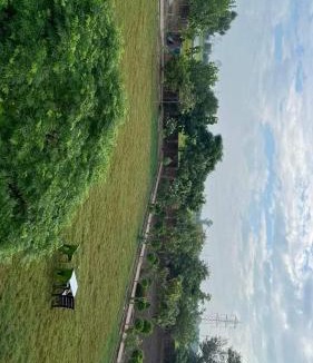 Hisar Villa | Sukoon Villa by Green Wood Homes Bithmara