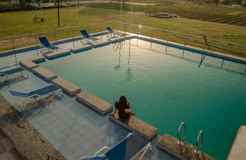 Jamwa Ramgarh Resort | Sunflower Saga