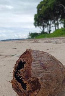 Neil Island Resort | SUNSET GARDEN Beach Resort