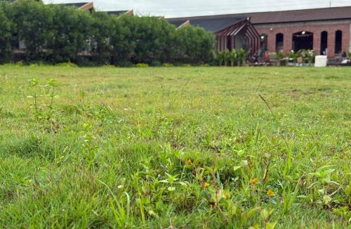 Jagdalpur Resort | Swastikanandam