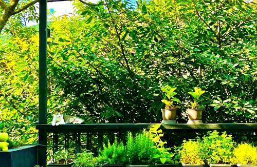Ruifang Hostel | Sweethome37