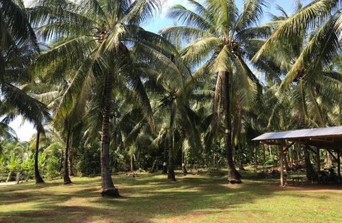 Catarman House | Taylors Country Home by Taylors Travellers Inn- The Native Cottage