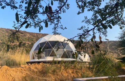 Achrol Other | Teela- The Glamping Resort, Jaipur