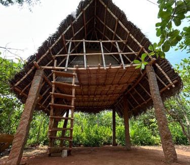 Auroville Other | Tentopia