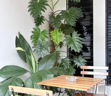 Solano House | the 19Th Transient House