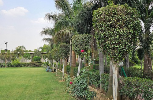 Gurugram Villa | The Grace INN Farm