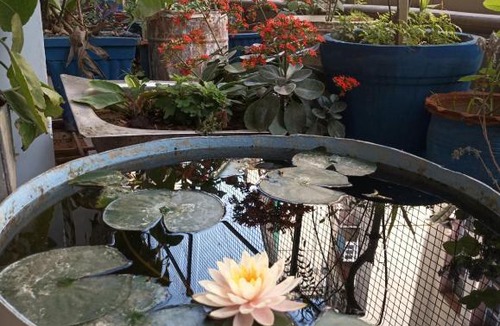 Jaipur District Bed & Breakfast | The Penthouse
