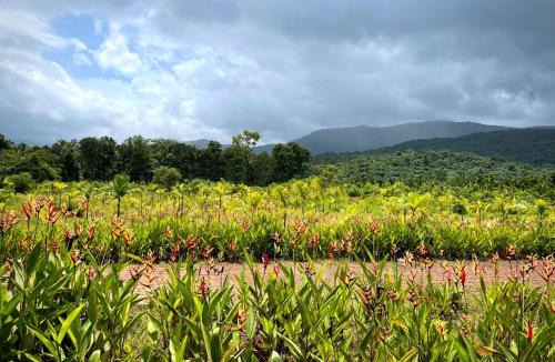 Netravali Resort | The Postcard Hideaway, Netravali Wildlife Sanctuary, Goa