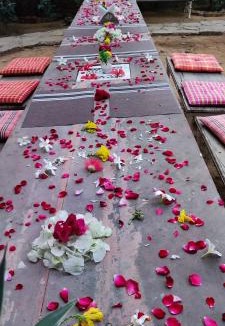 Pushkar Bed & Breakfast | the secret garden
