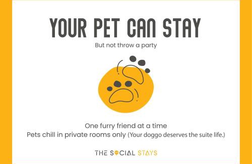 Civil Lines Hostel | The Social Stays Jaipur formerly ArtBuzz
