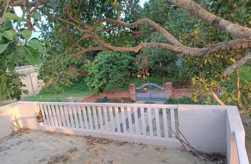 Madhubani House | The Vedic Grove