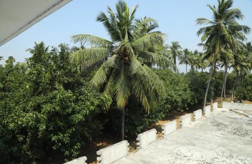 Uttukkottai Apartment | Thiruvallur Farm House