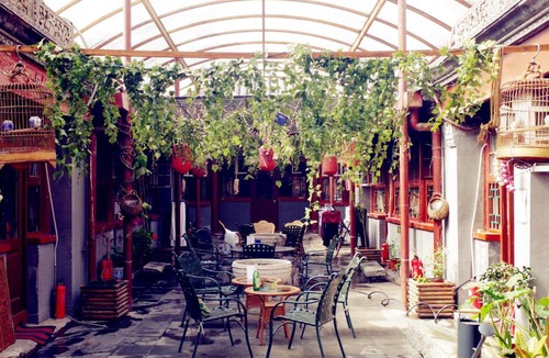 Downtown Beijing Hostel | Three Legged Frog Hostel(Beijing Tian'anmen Dashilan)