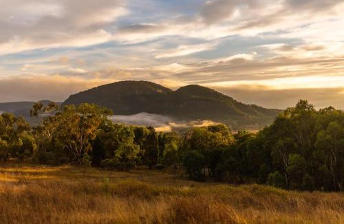 Central Mudgee House | Tiny Harry