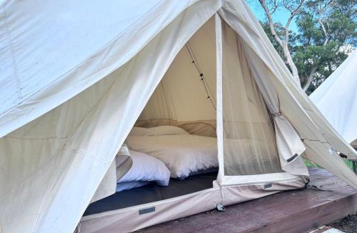 Dajia District Other | Touching Camping