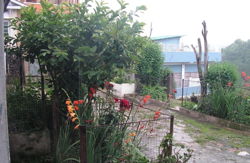 Laitumkhrah House | Troya Home Stay - Not a Hotel! Come stay in a Home!