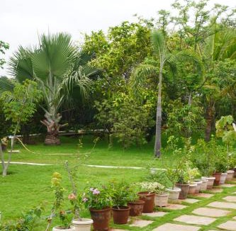Sanwer Resort | Verde Vista Farm & Resort, Indore