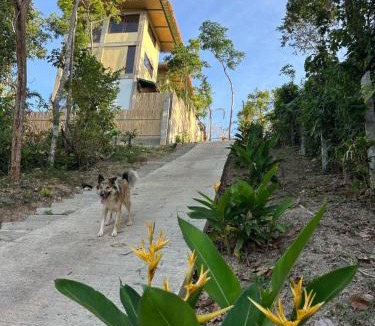 El Nido Villa | Vista Cadlao