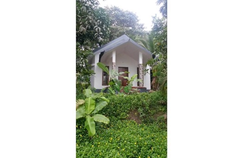 Civil Station Villa | Wayal Wayanad Twin villa amidst green