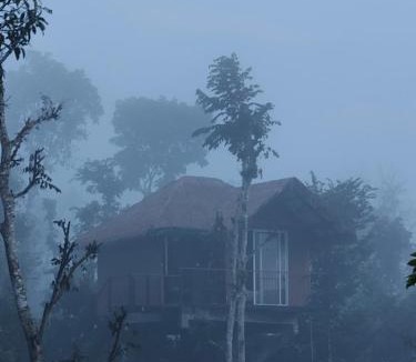 Kolagappara Resort | Wayanad Heritage Pool Resort