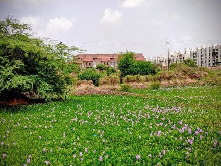 Ahmedabad House | weekend home, for peace & bliss