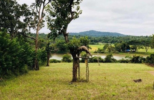 Sulthan Bathery House | White Rose Homestay wayanad Private Pool Willa