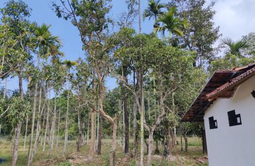 Sulthan Bathery Villa | Woodside Haven