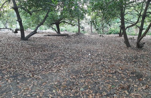 Dahanu House | Zohra Baugh, a green & organic farmhouse stay with all amenities