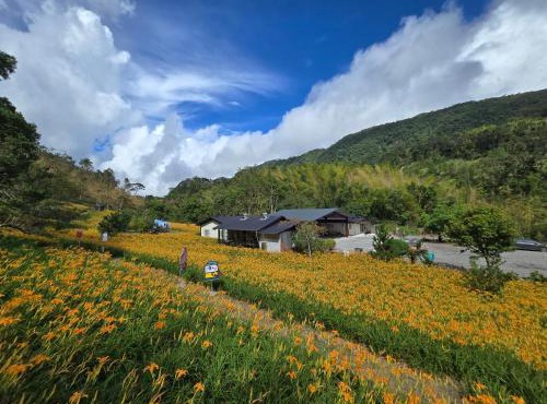 赤科山櫻之谷咖啡民宿