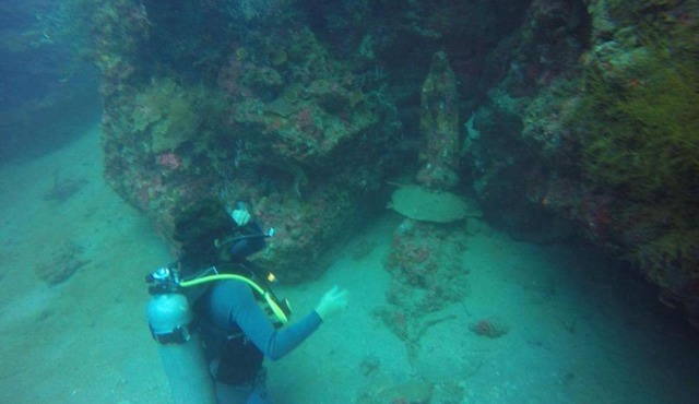Anilao Scuba Dive Center (ASDC)