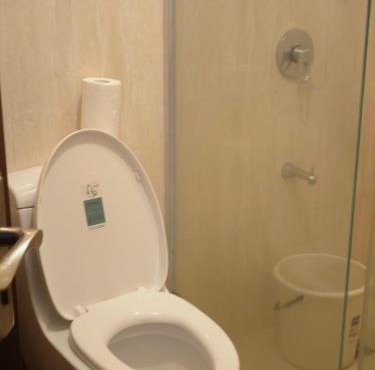 Balai Condominium Upper Penthouse