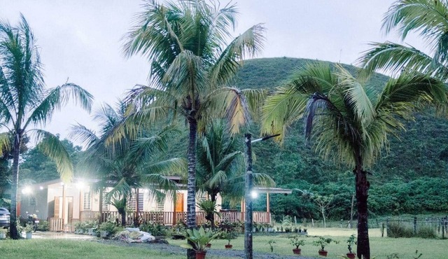 Balai Kalipay at Chocolate Hills